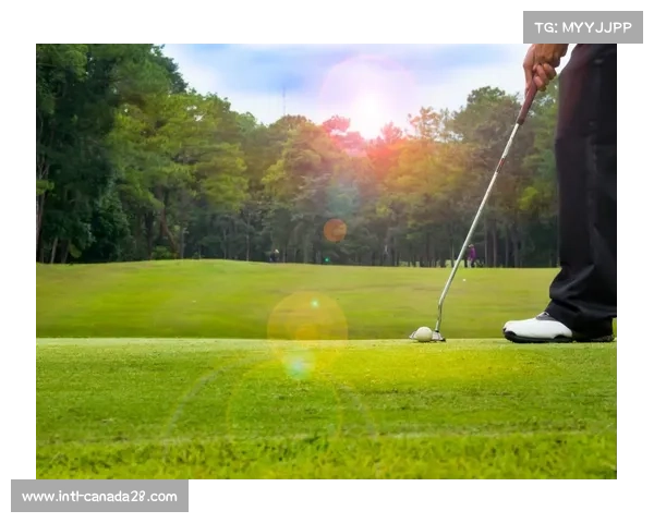 高尔夫社交属性分析：商务谈判、家庭活动与年轻群体吸引