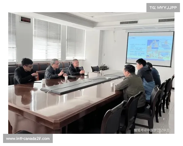 焦作市提升无形资产创造运用保护管理水平